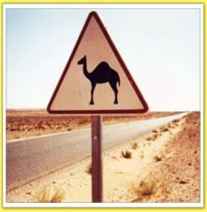 aventure Mauritanie