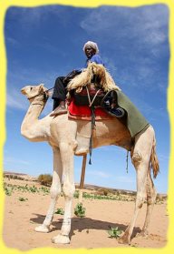 randonnée dromadaire mauritanie