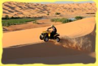 quad-canam