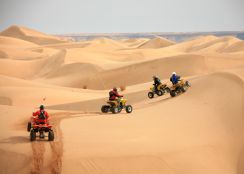 Raid "Sable, Bivouacs et Dunes"