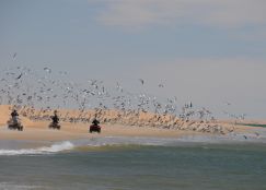 Raid "Dunes, Plage et Banc d‘Arguin"